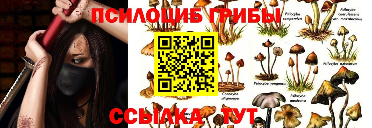 Галлюциногенные грибы GOLDEN TEACHER  Вход с VPN  Мценск 
